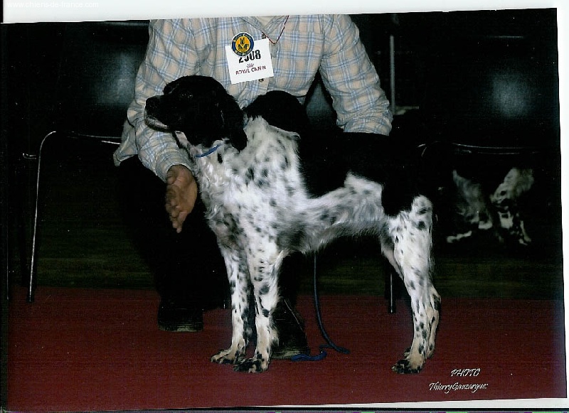 Neige des T'chiots Picards