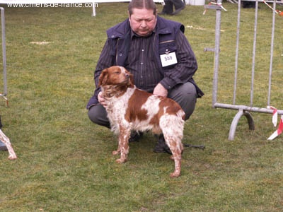 Voldiac des T'chiots Picards