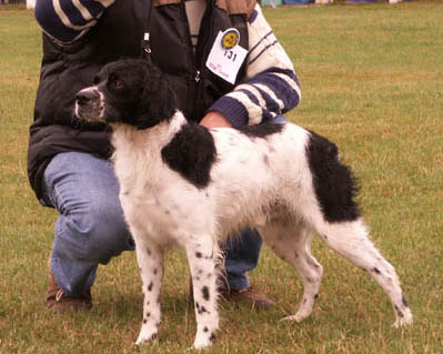 Rubis des T'chiots Picards
