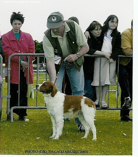 Olaf des T'chiots Picards