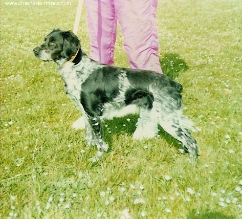Eïka Du domaine du beau chêne