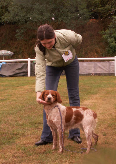 Améria des T'chiots Picards
